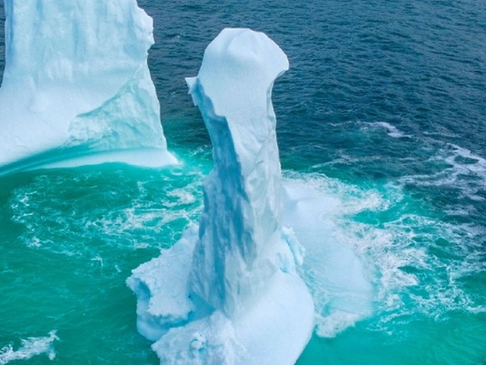 紐芬蘭島冰山